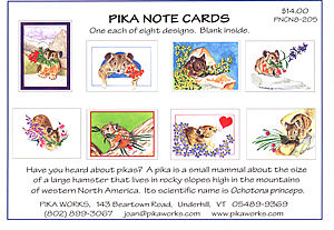 Pack of pika cards $14