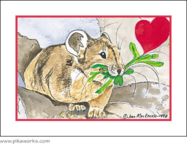 Greeting card about valentine, Valentine's Day card, love card, American pika, hearts and flowers, romantic greeting card, pika magnet, valentine magnet