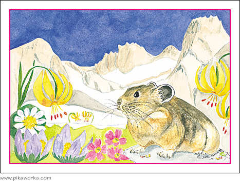 Greeting card about Easter Card, pika easter card, Pika Pete, lily, marigolds, primrose, Wind River Range, Wyoming, wildflowers