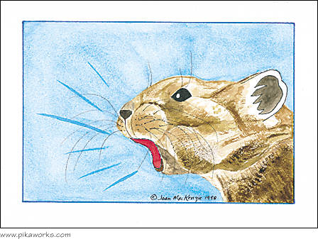 Greeting card about pika mouse pad, Pika Pete mouse pad,  pika notecard, pika art, mad pika