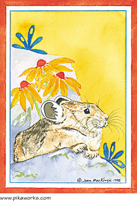 Greeting card about Capitol Peak pika, Colorado, pika, rock rabbit, thinking of you card, pika friendship card, friendship poem