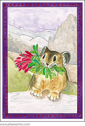 Greeting card about Indian Paintbrush card, Indian paintbrush art, pika birthday card,  pika magnet, pika print, pika framed print, wildflower art, alpine wildflower card, Wind River Range pika