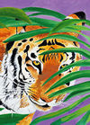 Tiger Eyes print